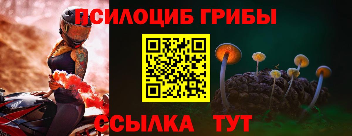 Псилоцибиновые грибы мухоморы Топки