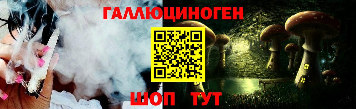 Псилоцибиновые грибы Psilocybine cubensis  Вход с VPN  Топки 